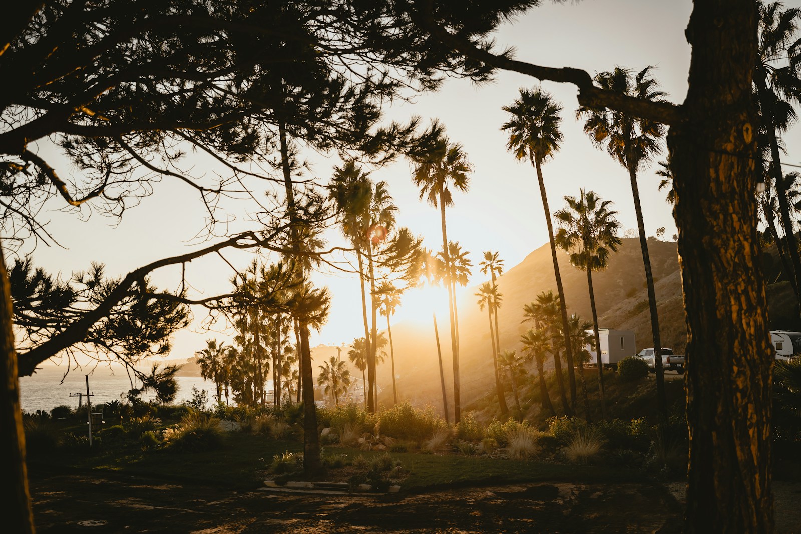 Palm trees silhouetted against a warm sunset sky.