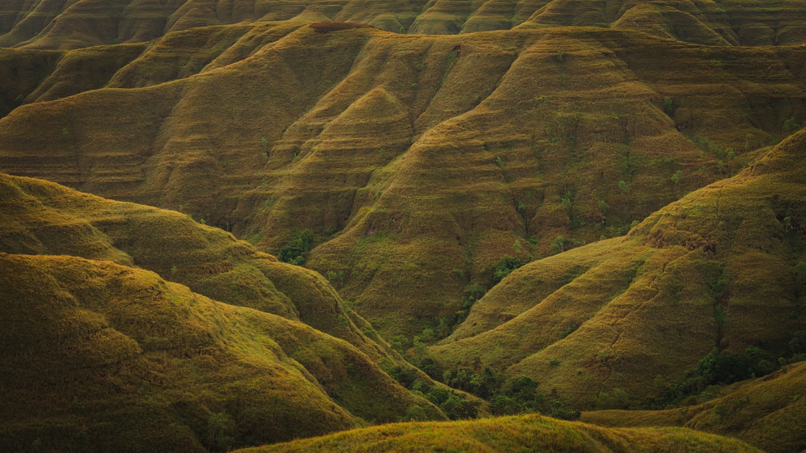 Rolling hills covered in grass and shadow.